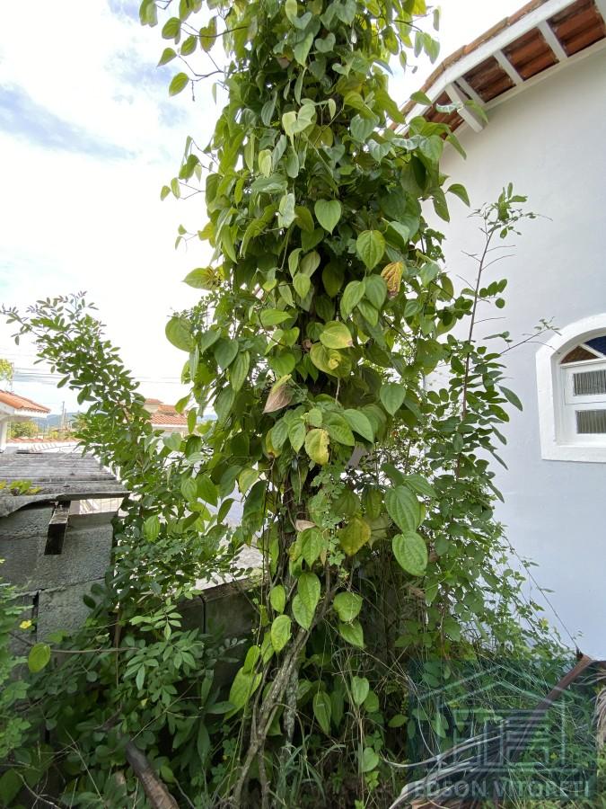 Casa, 3 quartos - Foto 25